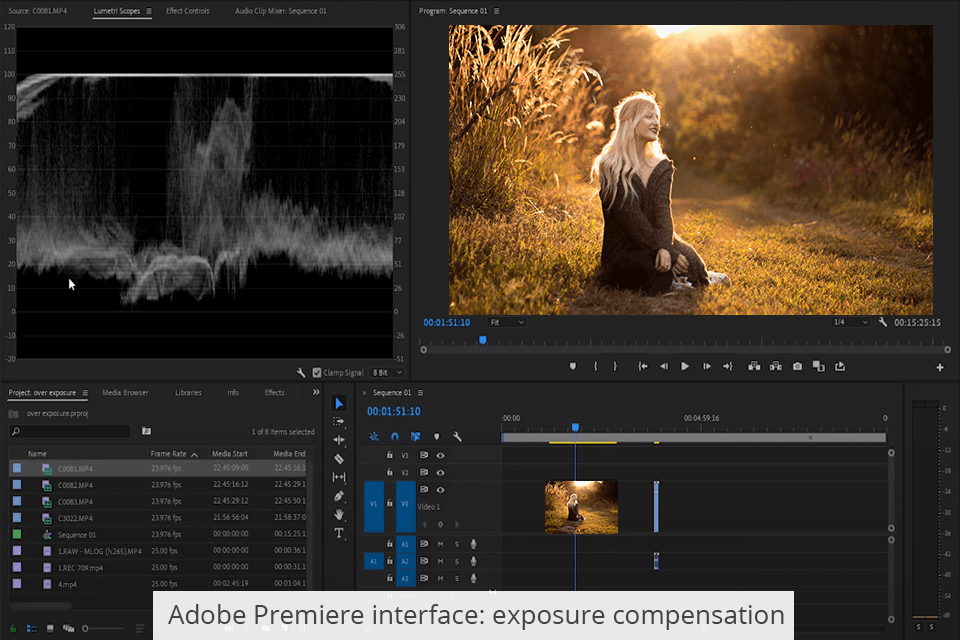 Что лучше filmora или adobe premiere pro