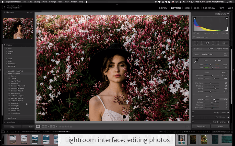 Apple Photos vs Lightroom What Program to Choose?
