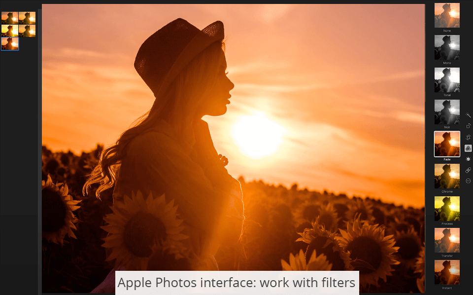 Apple Photos vs Lightroom What Program to Choose?