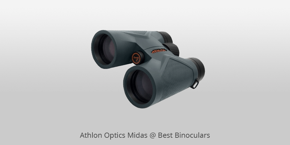 11 Best Binoculars In 2024