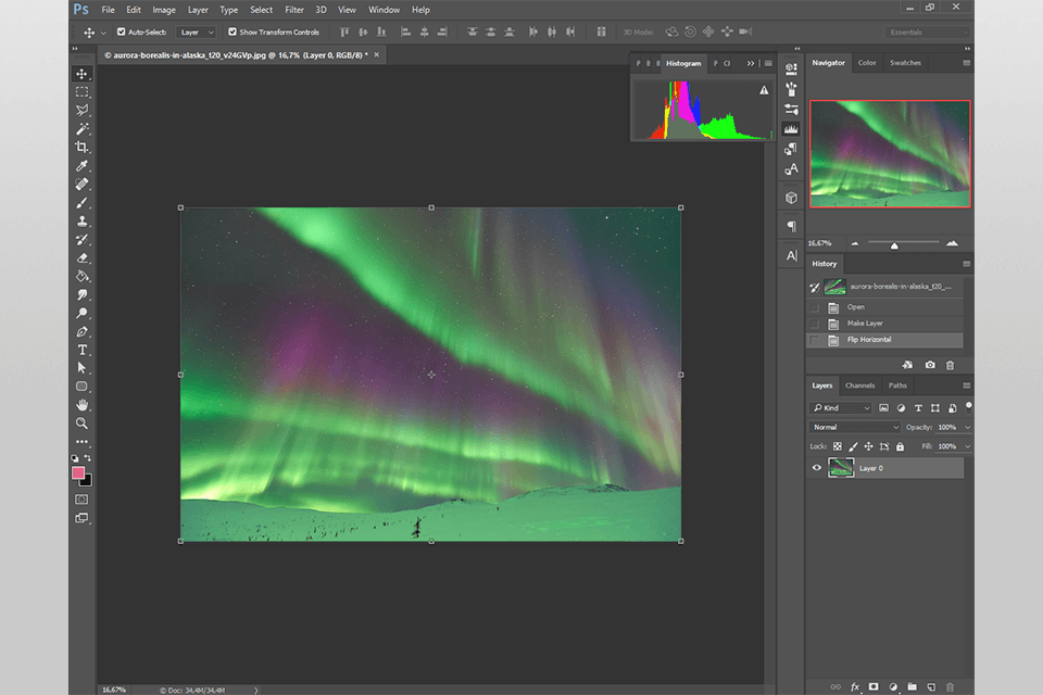 14 best free web design software in 2025