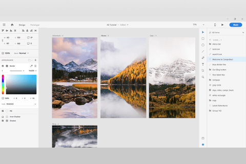 14 Best Free Web Design Software in 2025