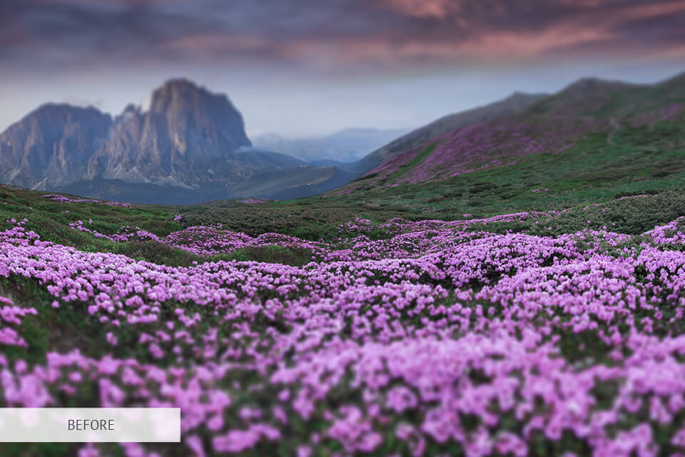 25 Tilt Shift Photography Tips with Examples