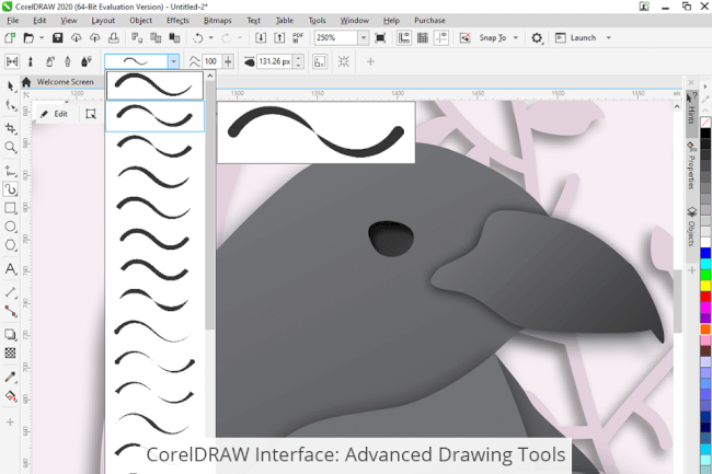 CorelDRAW vs Adobe InDesign: Which Software Is Better?