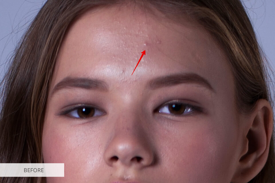 Darktable vs Lightroom What Software Is Better?