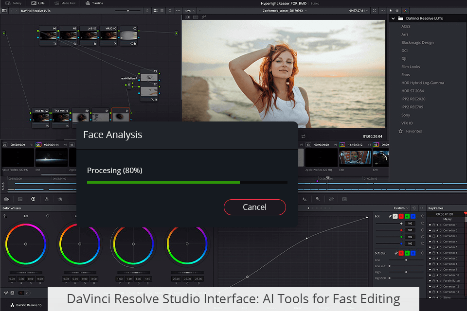 whats not included with free davinci resolve