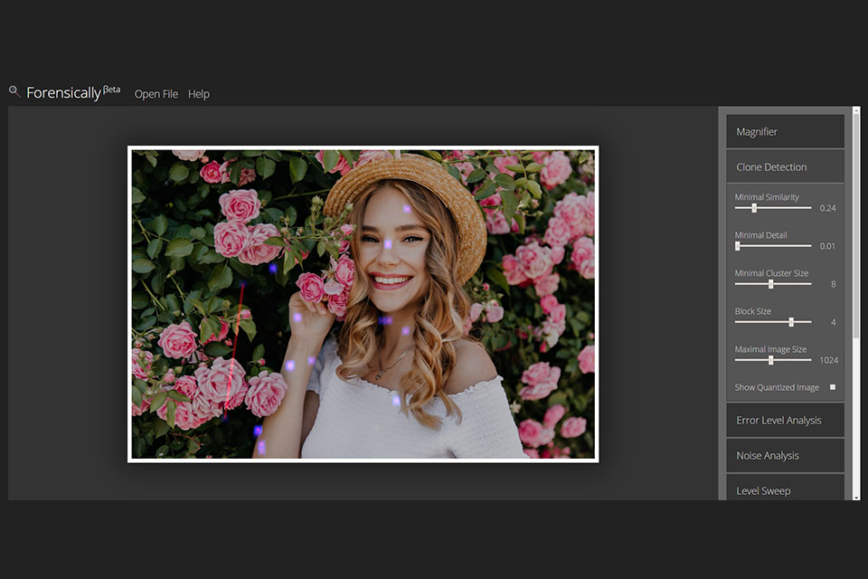 Is This Image 6 Ways to Check If Images Were Edited