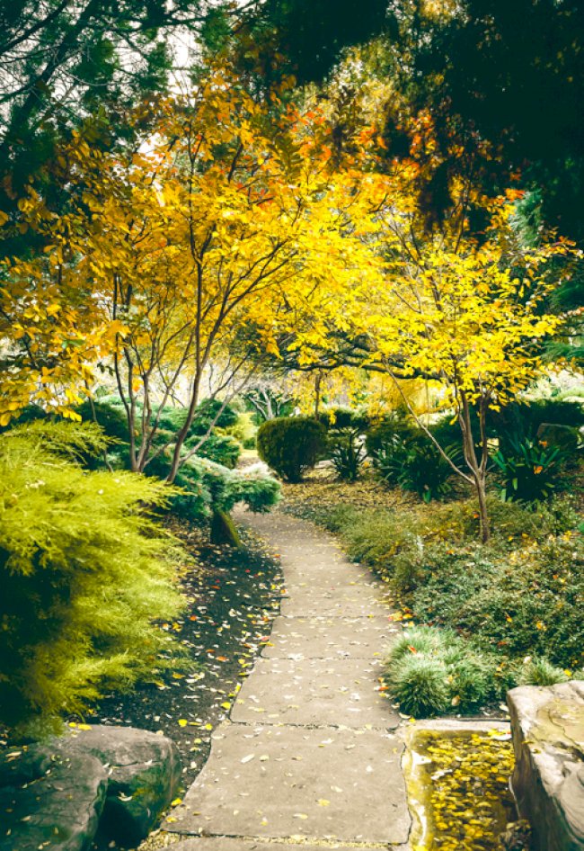 15 Garden Photography Ideas and Tips