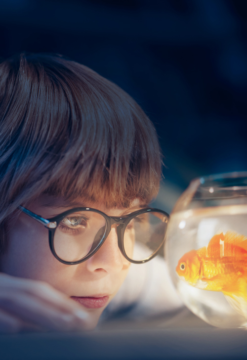 How to add light in photoshop 5 methods