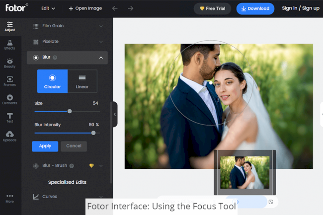 Fotor vs Snapseed: Which App Is Better?