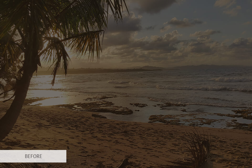 Adobe XD Portable 2024 Download