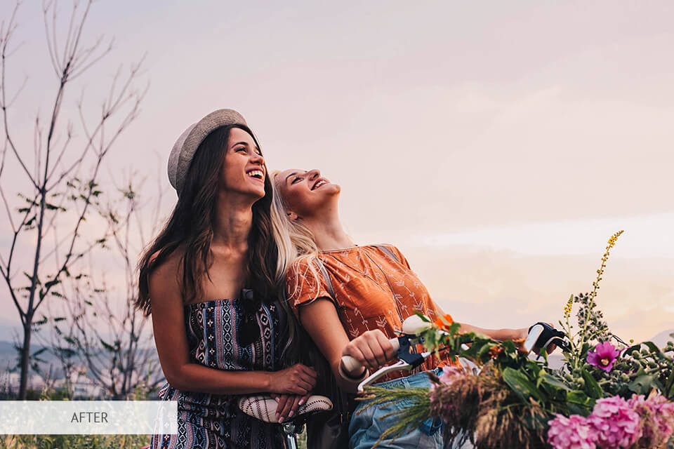 freebies for Lightroom