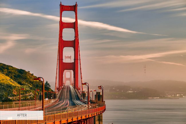 jelly bunny new collection 2019