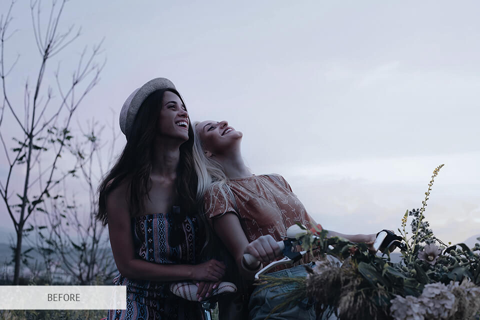 freebies for Lightroom