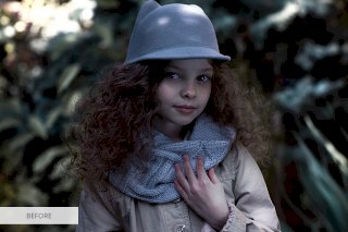 GIMP vs Paint.NET Comparison 2020