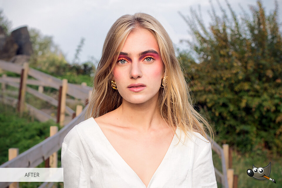 GIMP vs Comparison 2024