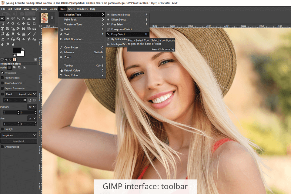 GIMP vs Comparison 2024