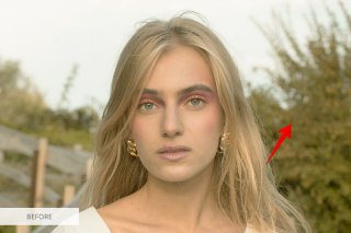 GIMP vs Paint.NET Comparison 2026