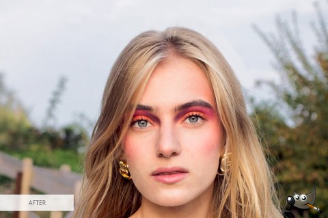 GIMP vs Paint.NET Comparison 2020