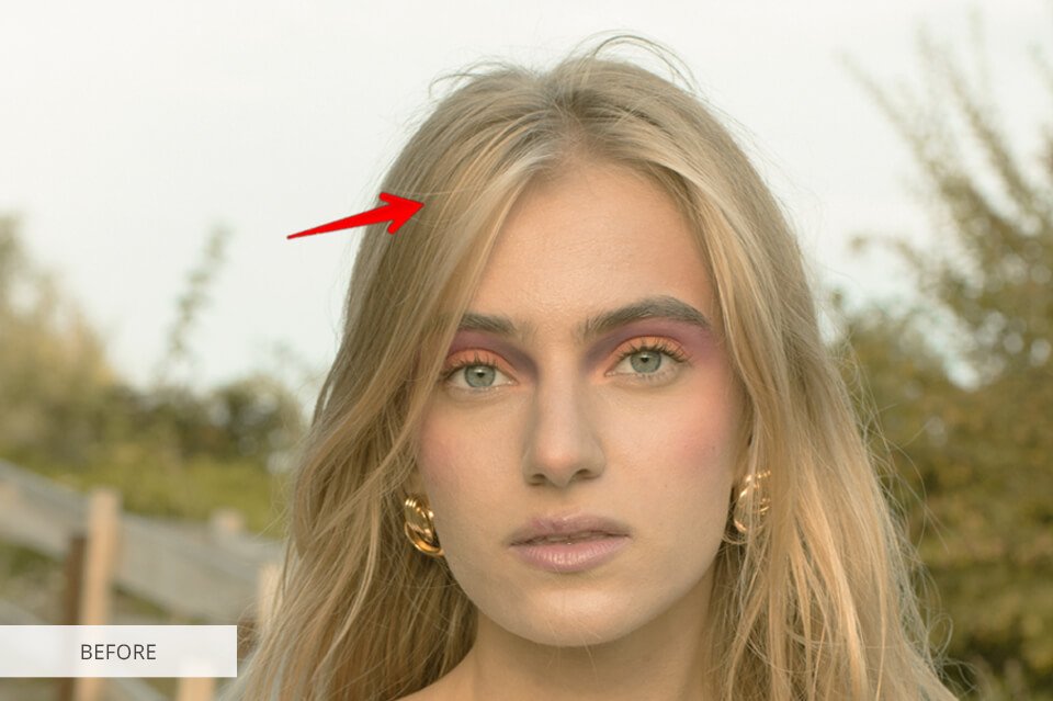 GIMP vs Comparison 2024