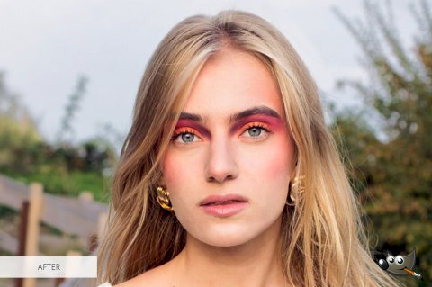 GIMP vs Paint.NET Comparison 2020