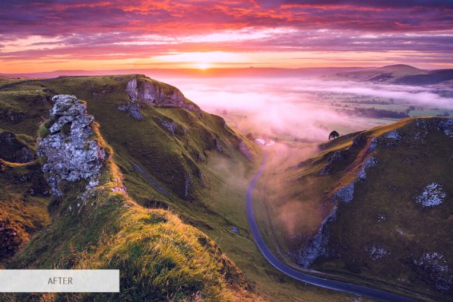 premiere elements vs pro