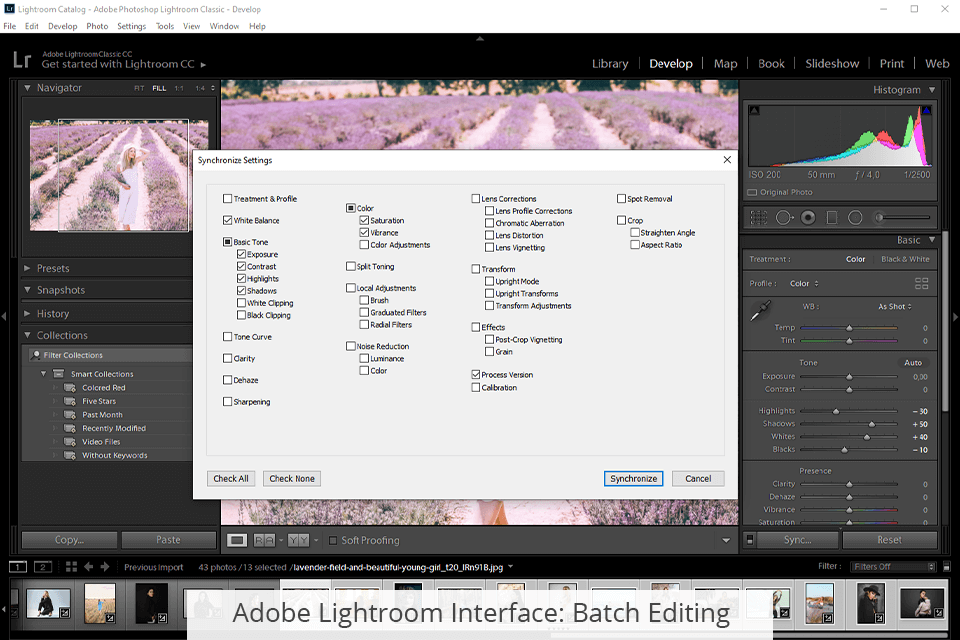 Darktable vs Lightroom What Software Is Better?