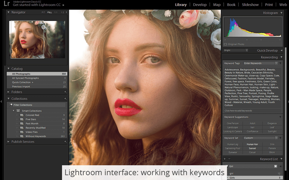 Adobe Bridge vs Lightroom 2024 Which Program to Choose?