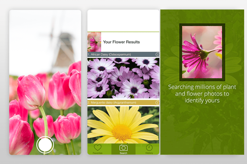 11 Best Shazam for Plants Apps in 2021