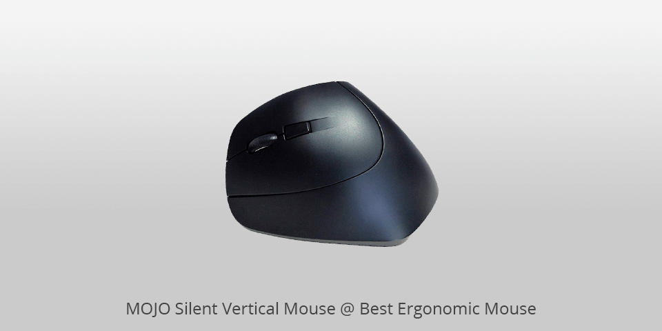 9 Best Ergonomic Mice in 2022