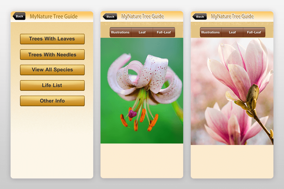 11 Best Shazam for Plants Apps in 2021