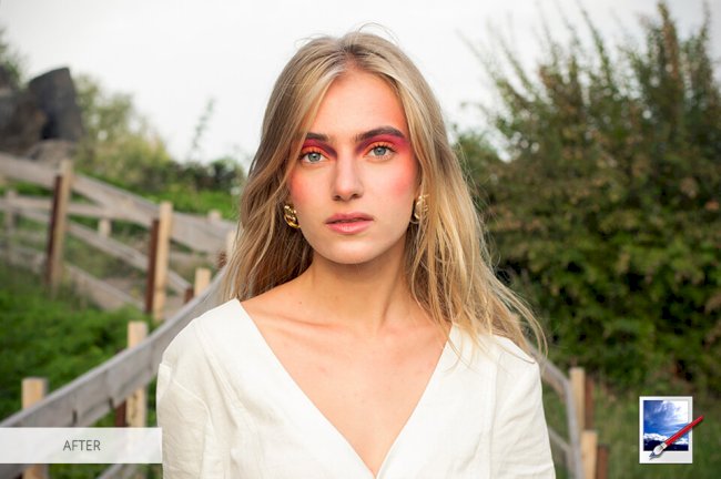 GIMP vs Paint.NET Comparison 2026