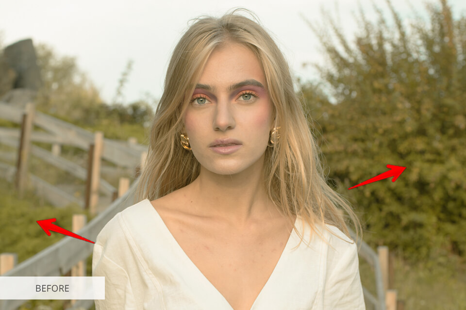 GIMP vs Comparison 2020