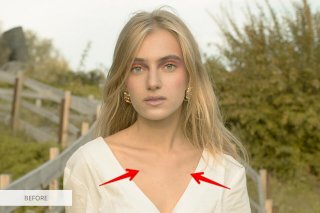 GIMP vs Paint.NET Comparison 2020