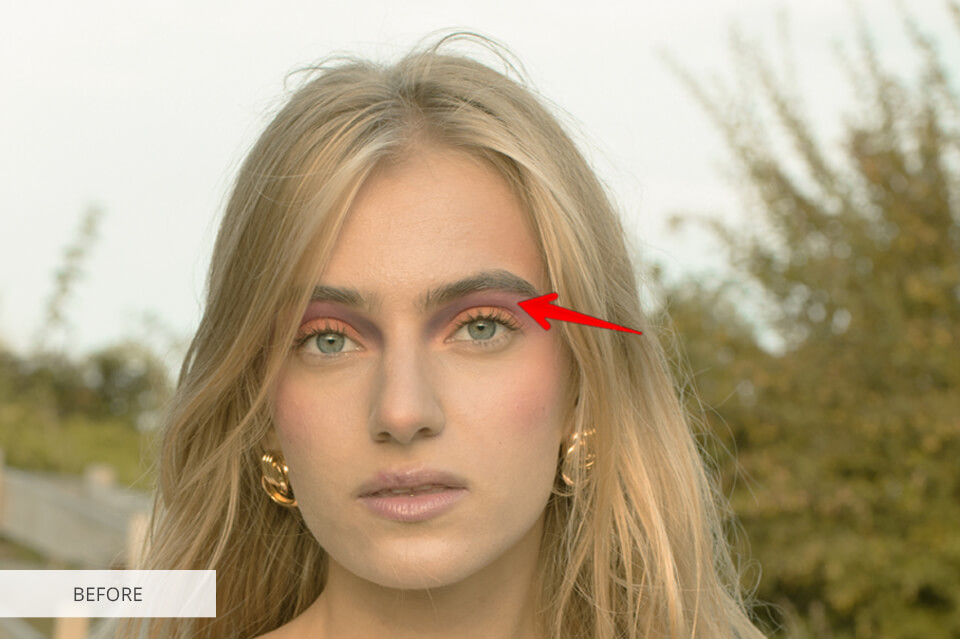 GIMP vs Paint.NET Comparison 2026