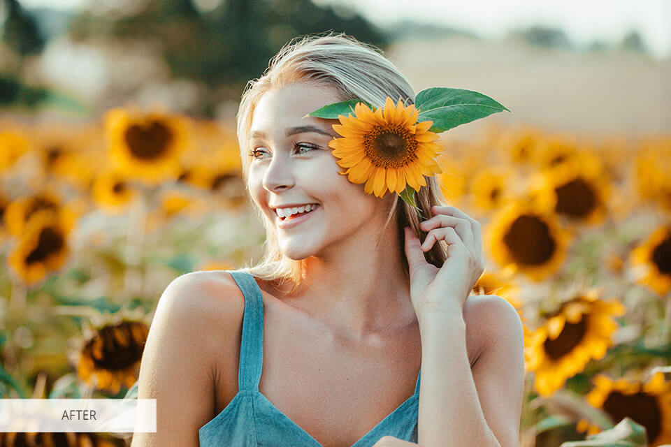 Pro vs 2024 What Is Better?