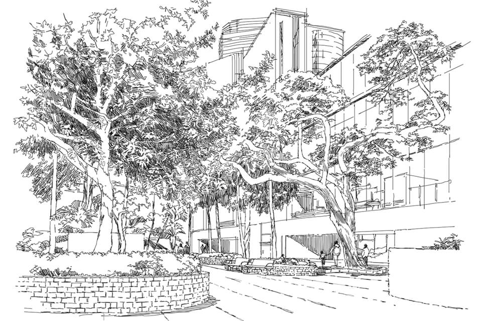 freebie for illustrator cs6