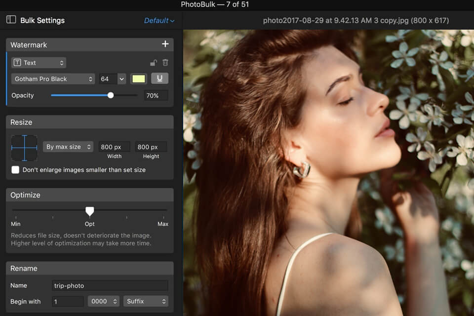 photobulk photo editing app for mac interface