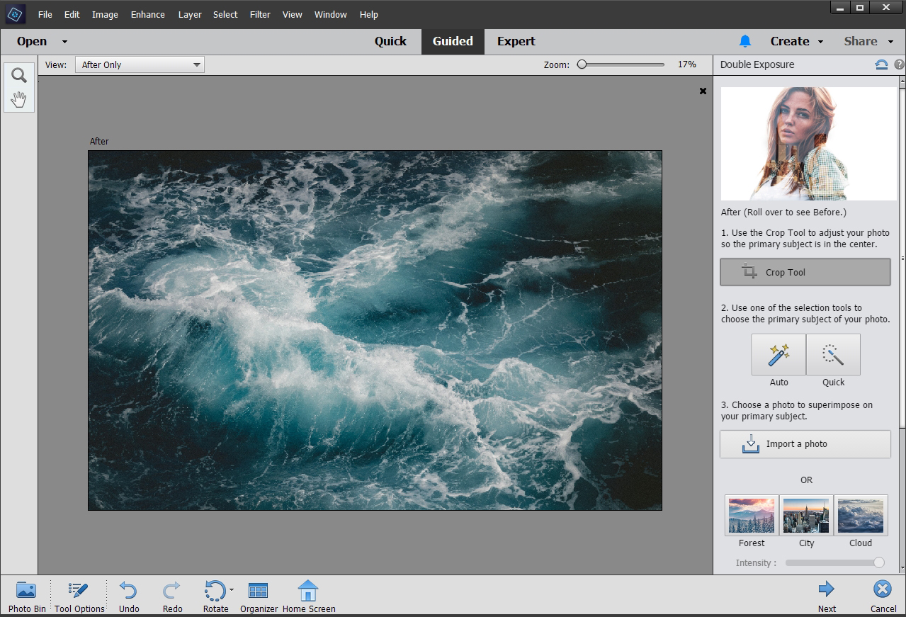 Elements vs Which Version Is Better?