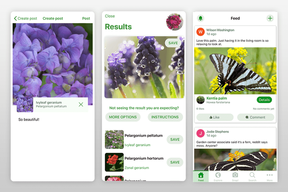 11 Best Shazam for Plants Apps in 2021