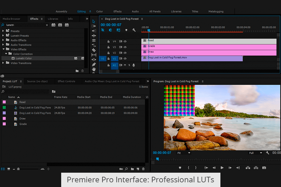 Adobe Spark Vs Premiere Pro What to Choose?