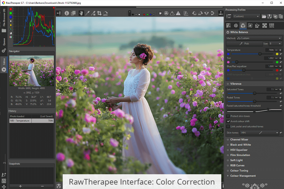 Darktable vs RawTherapee What Software Is Better?