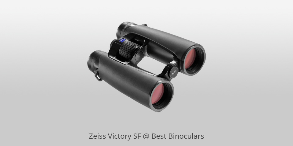 11 Best Binoculars In 2024