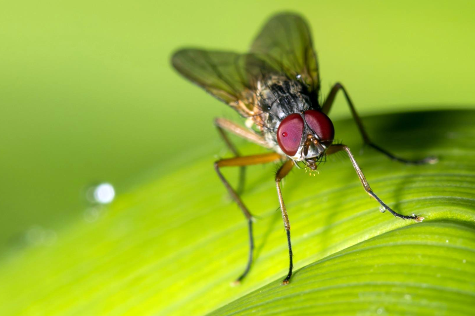 canon eos 5d mark iv example 5