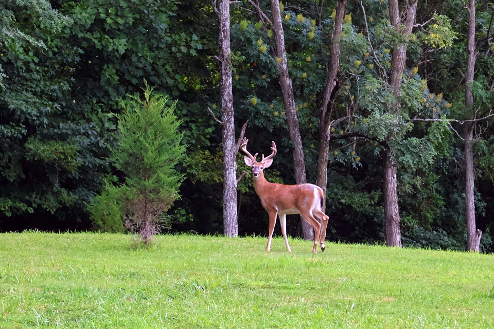 canon eos r10 example 4