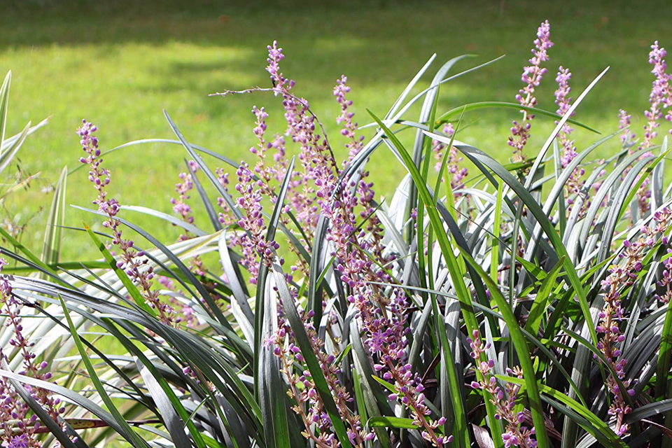 canon eos r10 example 5