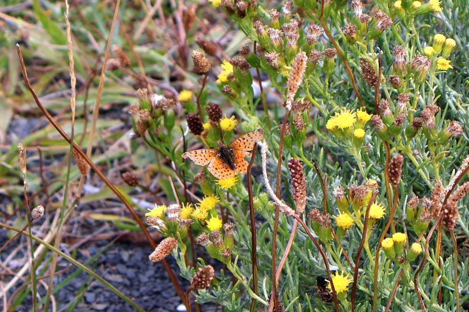 canon eos r10 example 6