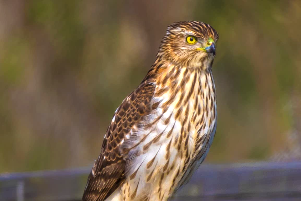 canon eos r10 example 7