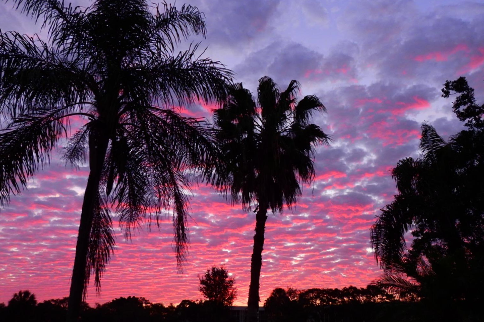 nikon coolpix p950 example 7