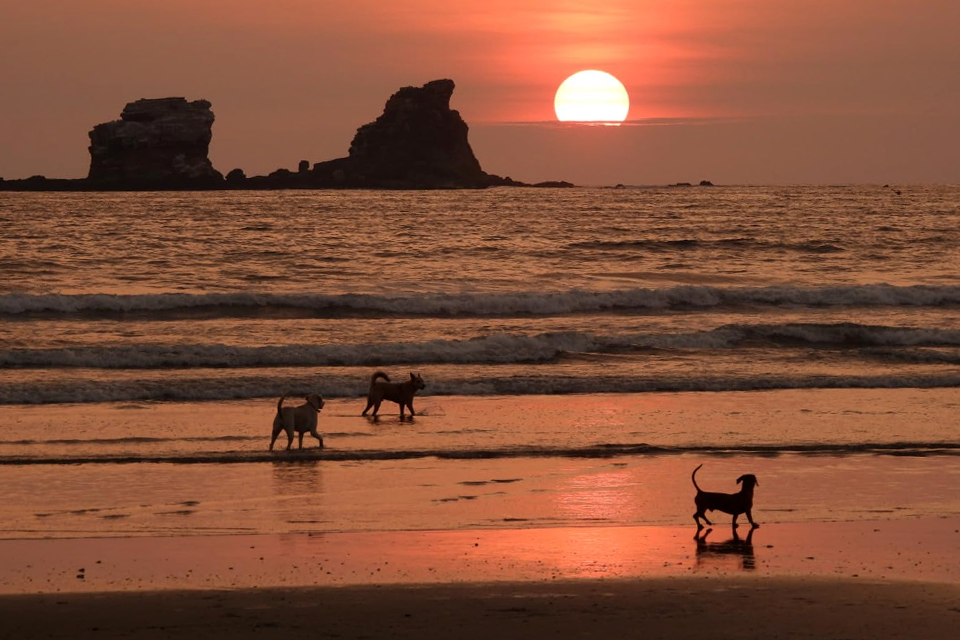 nikon coolpix p950 example 6